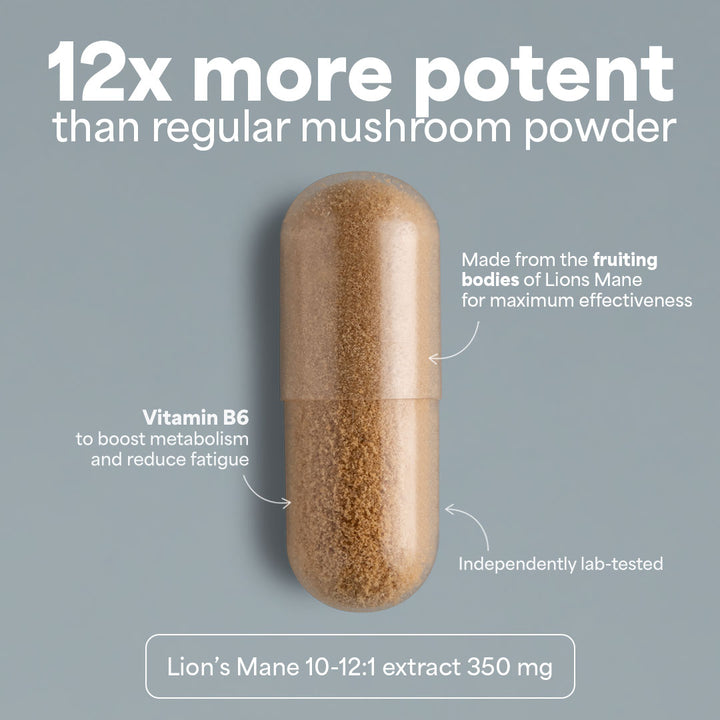 Sooo.me™ - SOOO focused: Lion’s Mane extract 10-12:1