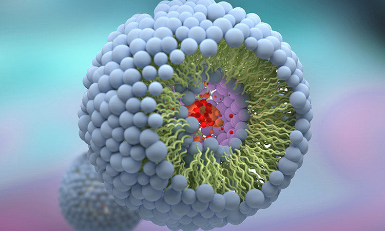 graphic design of a liposome
