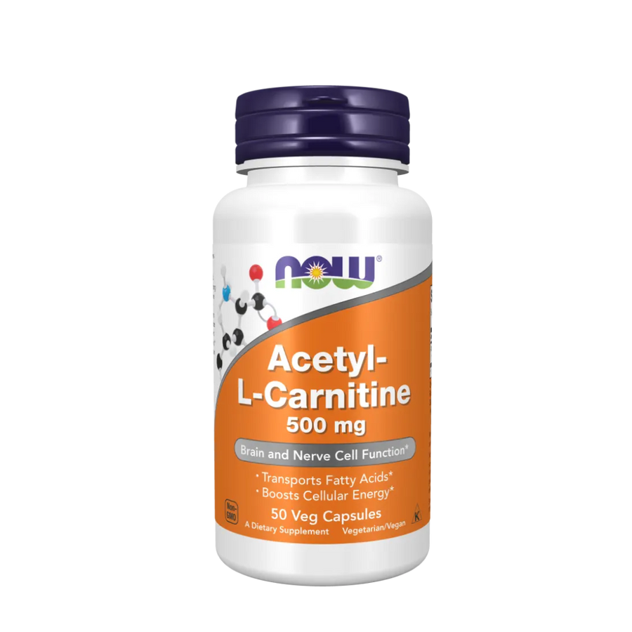 Supplement bottle labeled 'Acetyl-L-Carnitine 500 mg' by NOW on a white background