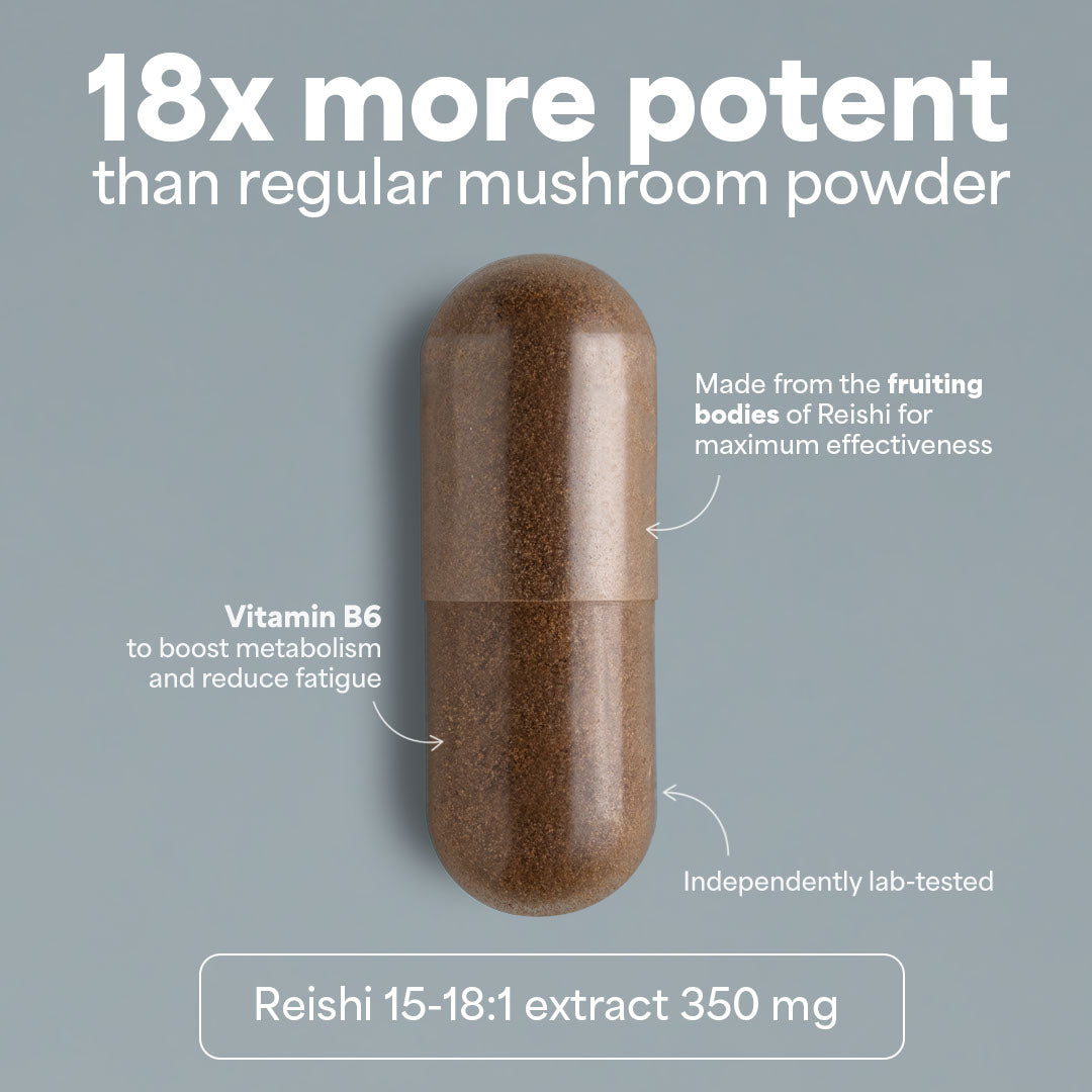 Sooo.me™ - SOOO calm: Reishi extract 15-18:1
