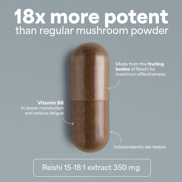 Sooo.me™ - SOOO calm: Reishi extract 15-18:1