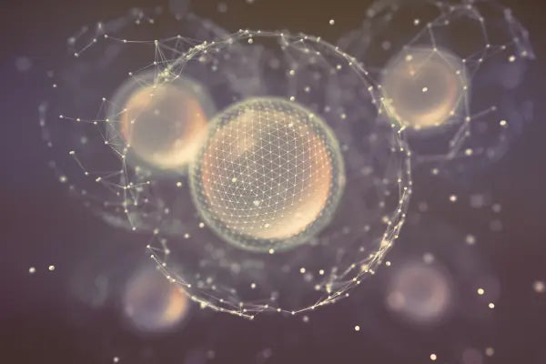 image of human cells