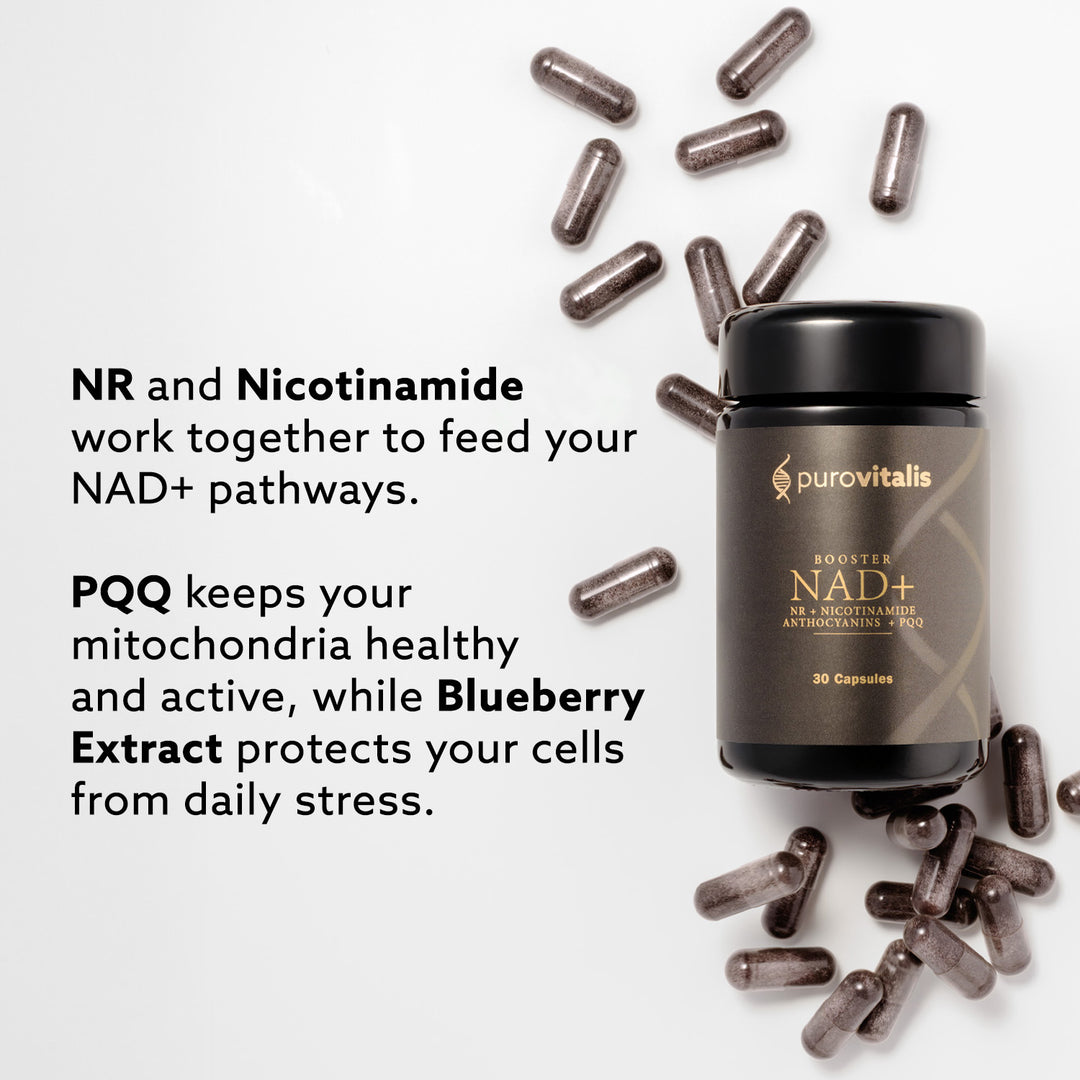 Purovitalis - NAD+ Booster 30 caps