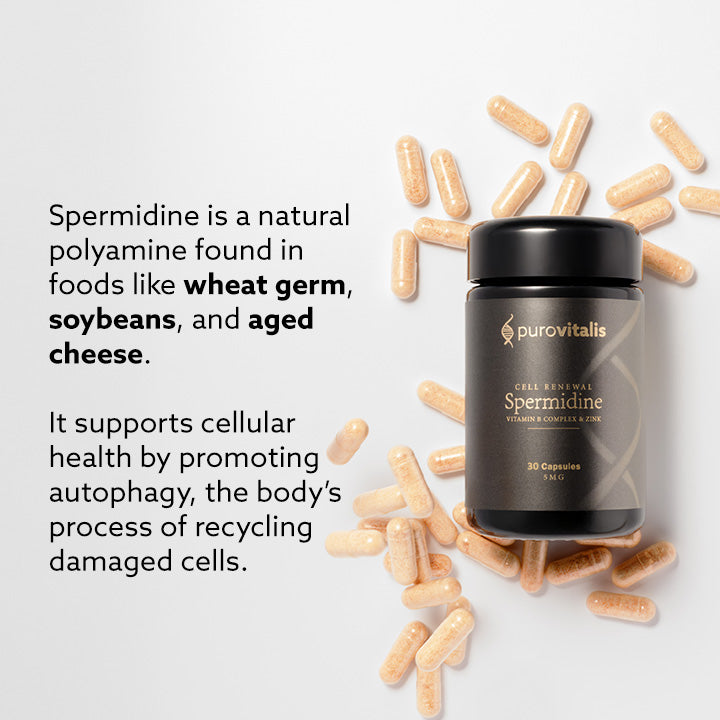 Purovitalis Spermidine supplement bottle surrounded by capsules on a light background