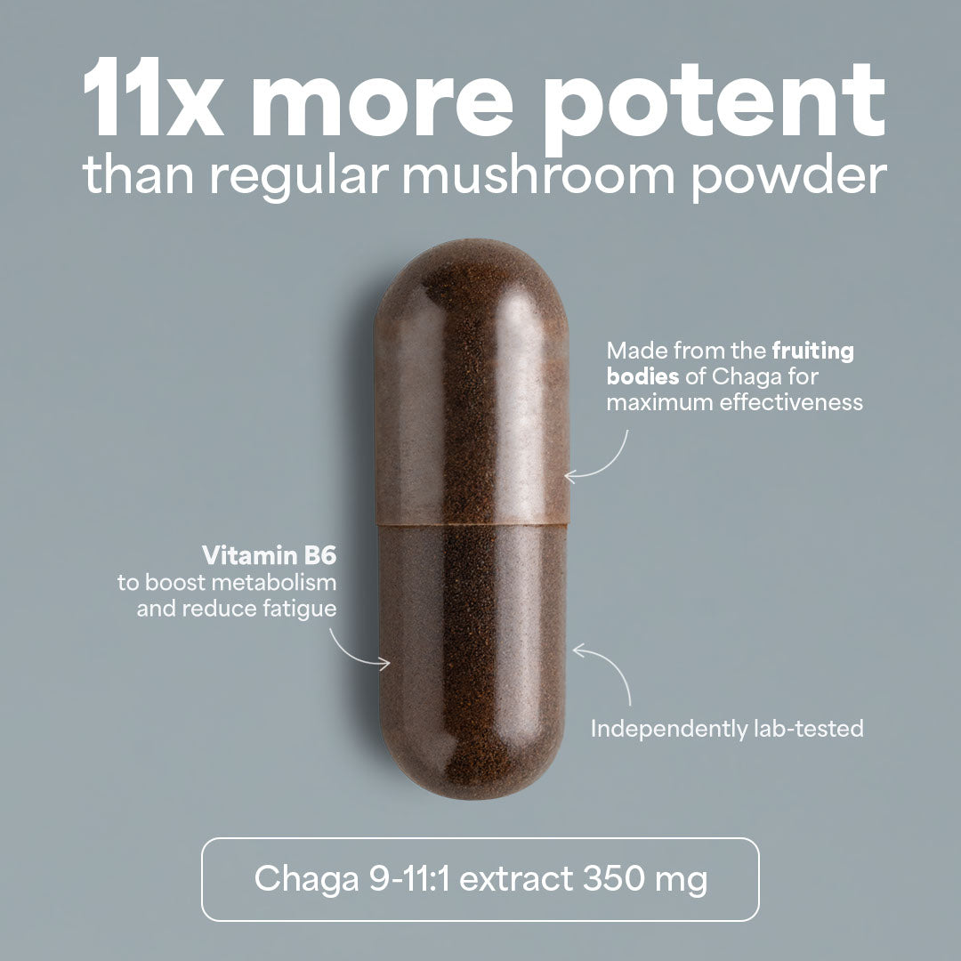 SOOO immune: Εκχύλισμα μανιταριού Chaga 9-11:1 - Sooo.me™