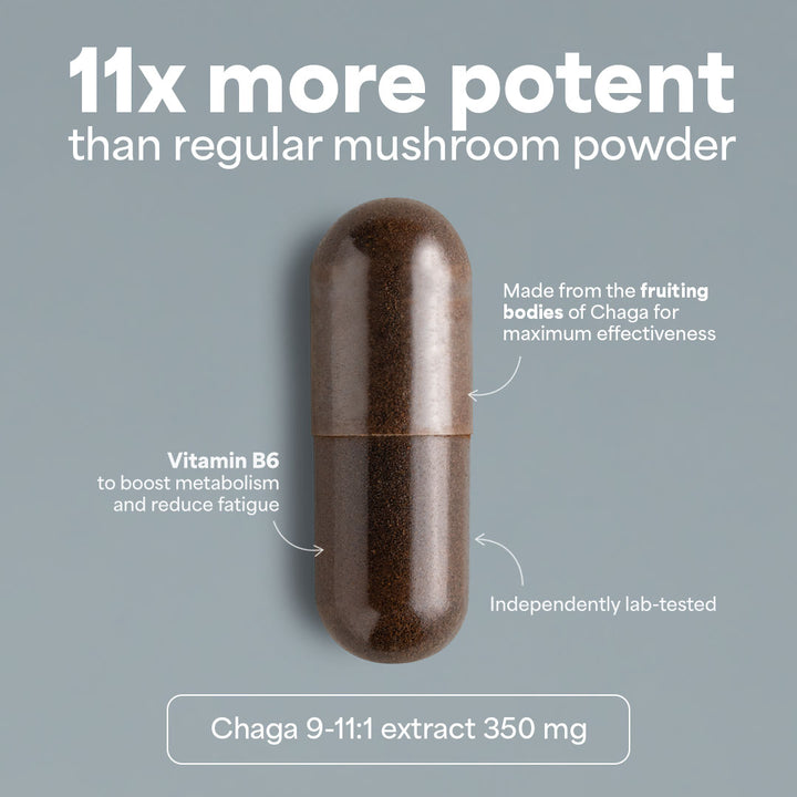 SOOO immune: Chaga extract 9-11:1 - Sooo.me™