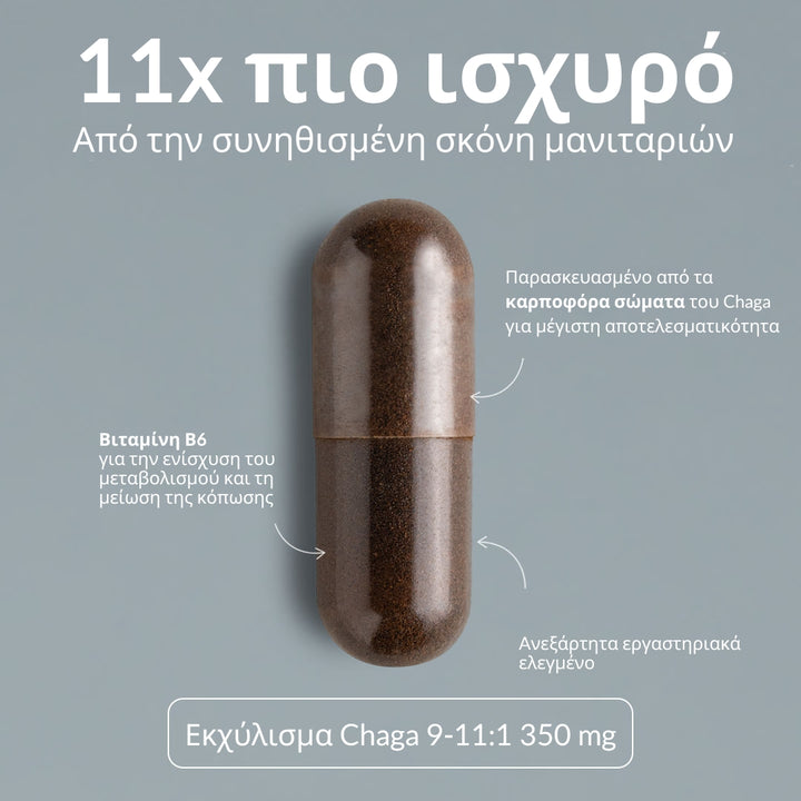 SOOO immune: Εκχύλισμα μανιταριού Chaga 9-11:1 - Sooo.me™