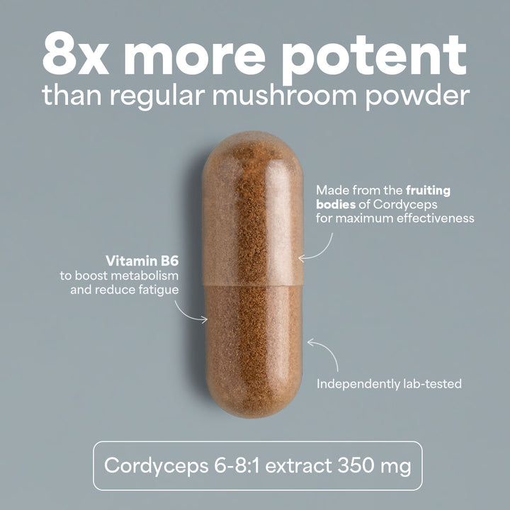 SOOO energetic: Cordyceps extract 6-8:1 - Sooo.me™