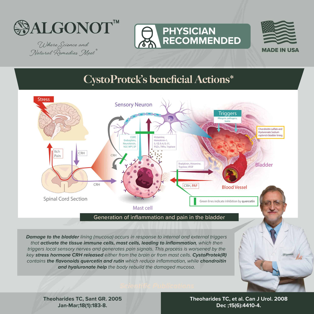 CystoProtek® - 90 Μαλακές κάψουλες γέλης Algonot 