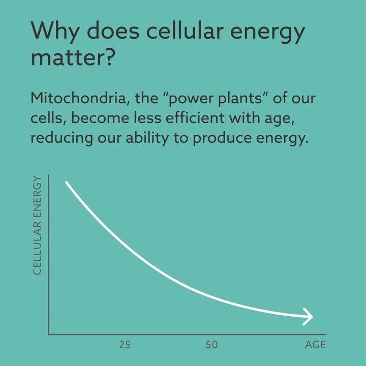 chat about cellular energy on a green background 