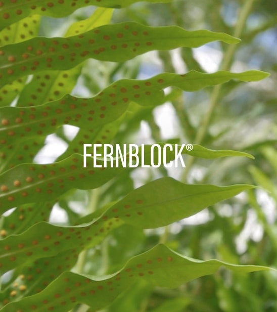 Close-up of green fern leaves with red spots and 'FERNBLOCK' logo.