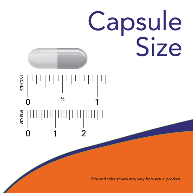 NOW L-Carnitine capsule size comparison – actual capsule shown next to measuring scale