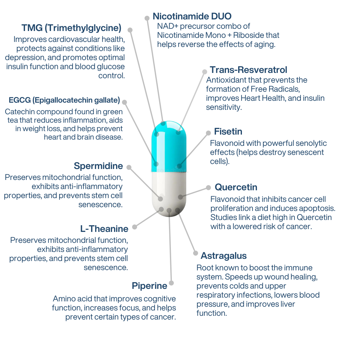 Illustration of a capsule with health benefits listed around it on a white background