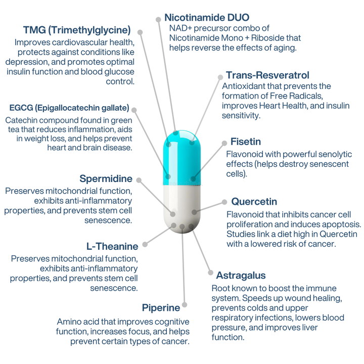 Illustration of a capsule with health benefits listed around it on a white background
