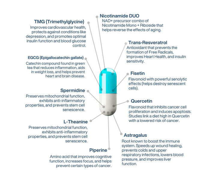 An infographic diagram showing a glass vial filled with blue liquid, surrounded by text labels of various herbal extracts and compounds, including TMG, Nicotinamide, Trans-Resveratol, Fisetin, Quercetin, L-Theanine, Piperine, and Astragalus.